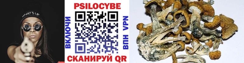 Галлюциногенные грибы Cubensis  MEGA   Покачи 